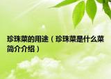珍珠菜的用途（珍珠菜是什么菜简介介绍）