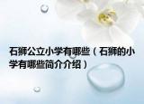 石狮公立小学有哪些（石狮的小学有哪些简介介绍）
