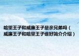 哈里王子和威廉王子是亲兄弟吗（威廉王子和哈里王子谁好简介介绍）