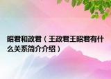 昭君和政君（王政君王昭君有什么关系简介介绍）