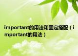 important的用法和固定搭配（important的用法）