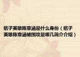 痞子英雄陈意涵是什么身份（痞子英雄陈意涵被围攻是哪几简介介绍）