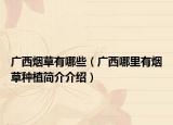 广西烟草有哪些（广西哪里有烟草种植简介介绍）