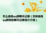 怎么查找qq群聊天记录（怎样查找qq群里的聊天记录简介介绍）