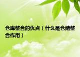 仓库整合的优点（什么是仓储整合作用）