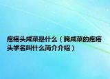 疙瘩头咸菜是什么（腌咸菜的疙瘩头学名叫什么简介介绍）