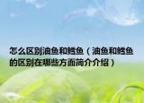 怎么区别油鱼和鳕鱼（油鱼和鳕鱼的区别在哪些方面简介介绍）