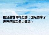 国足进世界杯奖励（国足要拿了世界杯冠军多少奖金）