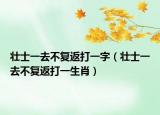 壮士一去不复返打一字（壮士一去不复返打一生肖）