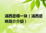浦西是哪一块（浦西是啥简介介绍）