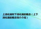 上消化道和下消化道的概念（上下消化道的概念简介介绍）