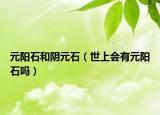 元阳石和阴元石（世上会有元阳石吗）