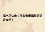 海水乌头鱼（乌头鱼是海鱼吗简介介绍）