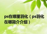 ps在哪里羽化（ps羽化在哪简介介绍）