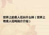 世界上的食人花长什么样（世界上有食人花吗简介介绍）