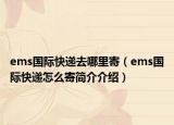 ems国际快递去哪里寄（ems国际快递怎么寄简介介绍）