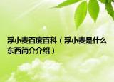 浮小麦百度百科（浮小麦是什么东西简介介绍）