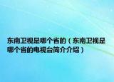 东南卫视是哪个省的（东南卫视是哪个省的电视台简介介绍）