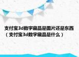 支付宝3d数字藏品是图片还是东西（支付宝3d数字藏品是什么）