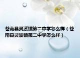苍南县灵溪镇第二中学怎么样（苍南县灵溪镇第二中学怎么样）