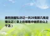 康熙微服私访记一共28集那几集是馒头记（皇上在哪集中被抓去山上干活）