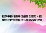 数学中的计数单位是什么意思（数学中计数单位是什么意思简介介绍）