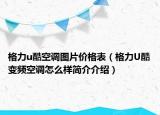 格力u酷空调图片价格表（格力U酷变频空调怎么样简介介绍）