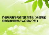 价值观具有导向作用的方法论（价值观的导向作用原理及方法论简介介绍）
