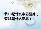 装13是什么意思图片（装13是什么意思）