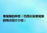 卷尾猴的种类（巴西长髯卷尾猴的特点简介介绍）