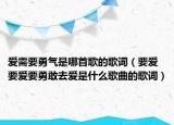 爱需要勇气是哪首歌的歌词（要爱要爱要勇敢去爱是什么歌曲的歌词）