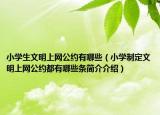 小学生文明上网公约有哪些（小学制定文明上网公约都有哪些条简介介绍）