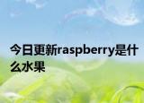 今日更新raspberry是什么水果