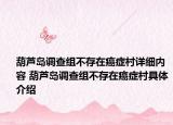 葫芦岛调查组不存在癌症村详细内容 葫芦岛调查组不存在癌症村具体介绍