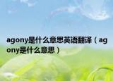 agony是什么意思英语翻译（agony是什么意思）