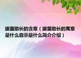 拔苗助长的含意（拔苗助长的寓意是什么启示是什么简介介绍）