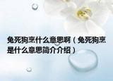 兔死狗烹什么意思啊（兔死狗烹是什么意思简介介绍）