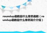roundup函数是什么意思函数（roundup函数是什么意思简介介绍）