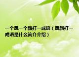 一个凤一个麟打一成语（凤麟打一成语是什么简介介绍）