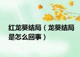 红龙葵结局（龙葵结局是怎么回事）
