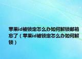 苹果id被锁定怎么办如何解锁邮箱忘了（苹果id被锁定怎么办如何解锁）