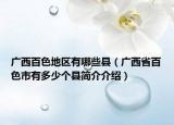 广西百色地区有哪些县（广西省百色市有多少个县简介介绍）