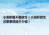 小龙虾能不能放生（小龙虾放生注意事项简介介绍）