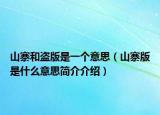 山寨和盗版是一个意思（山寨版是什么意思简介介绍）