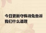 今日更新守株待兔告诉我们什么道理