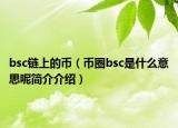 bsc链上的币（币圈bsc是什么意思呢简介介绍）