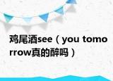鸡尾酒see（you tomorrow真的醉吗）
