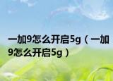 一加9怎么开启5g（一加9怎么开启5g）