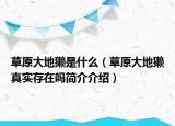 草原大地獭是什么（草原大地獭真实存在吗简介介绍）