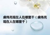 虞伟亮现在人在哪里干（虞伟亮现在人在哪里干）